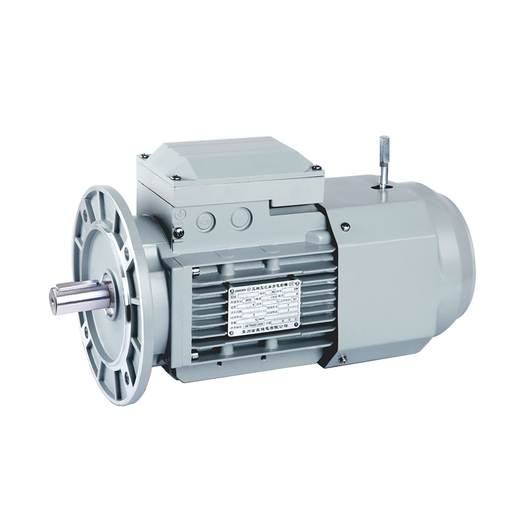 Best China manufacturer & factory china  in Amsterdam Netherlands  manufacturer  YEJ-8012 3 phase 1hp three phase asynchronous electric stepper motor With high quality best price 