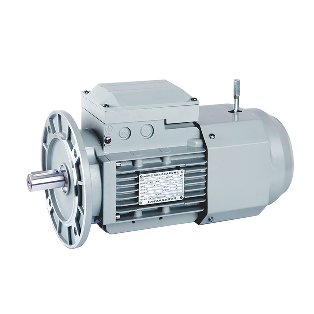 china  China best factory manufacturer  YEJ-132S1-2 three-phase electric integrated stepper motor with brake