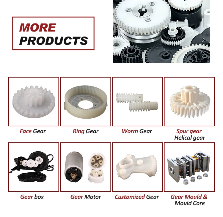 factory manufacturer for  High quality stainless steel spur gear pinion gears wheel parts