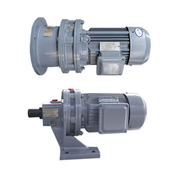 Best China manufacturer & factory Vertical  in Bogor Indonesia  BLD cycloidal pin wheel gearbox cycloid reducer Horizontal BWD cycloidal gear box with motor With high quality best price 