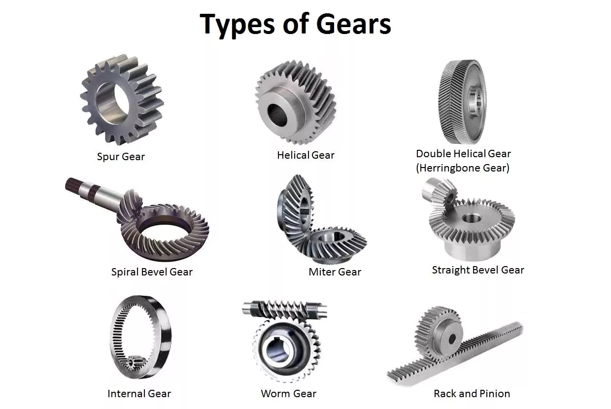 Gear