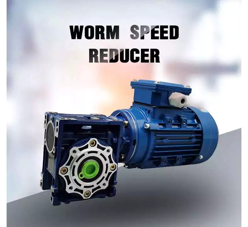 worm reducer