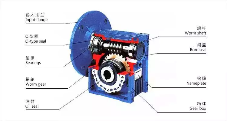 worm reducer