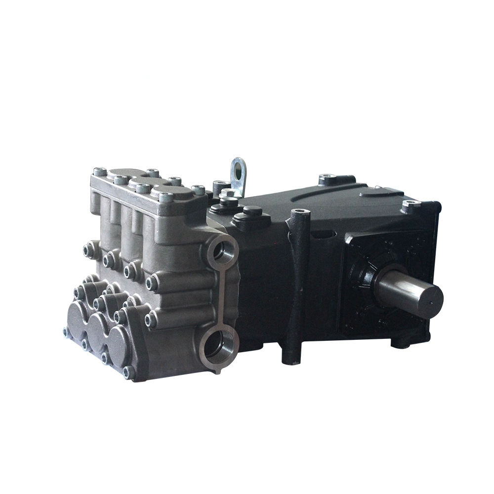 OEM professional team High pressure plunger pump for car cleaning sanitaton and seawater reverse