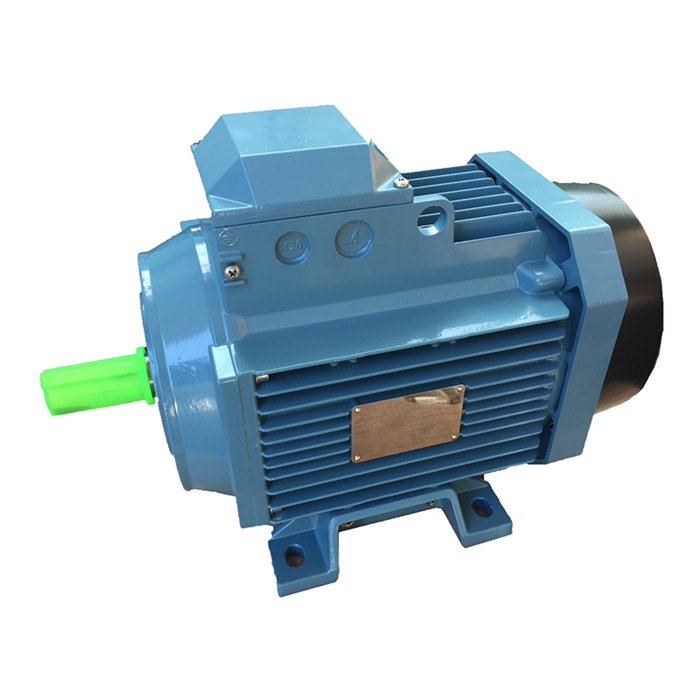 fast professional team type brushless ac dc  roller door motor 800 kg bldc motor and compressor for ac and refrigerator 35 degree gear