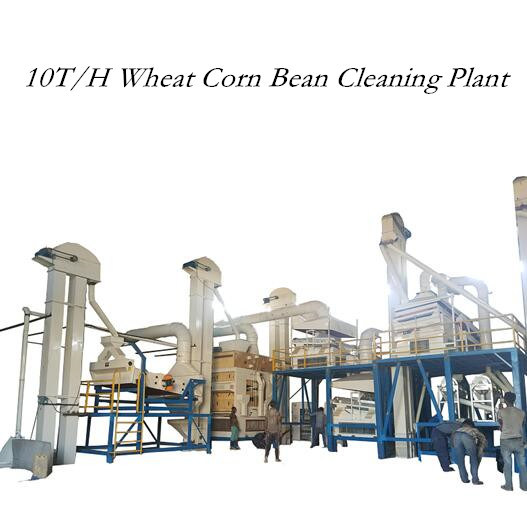 European best quality Dry Coffee Cocoa Bean Cleaning and