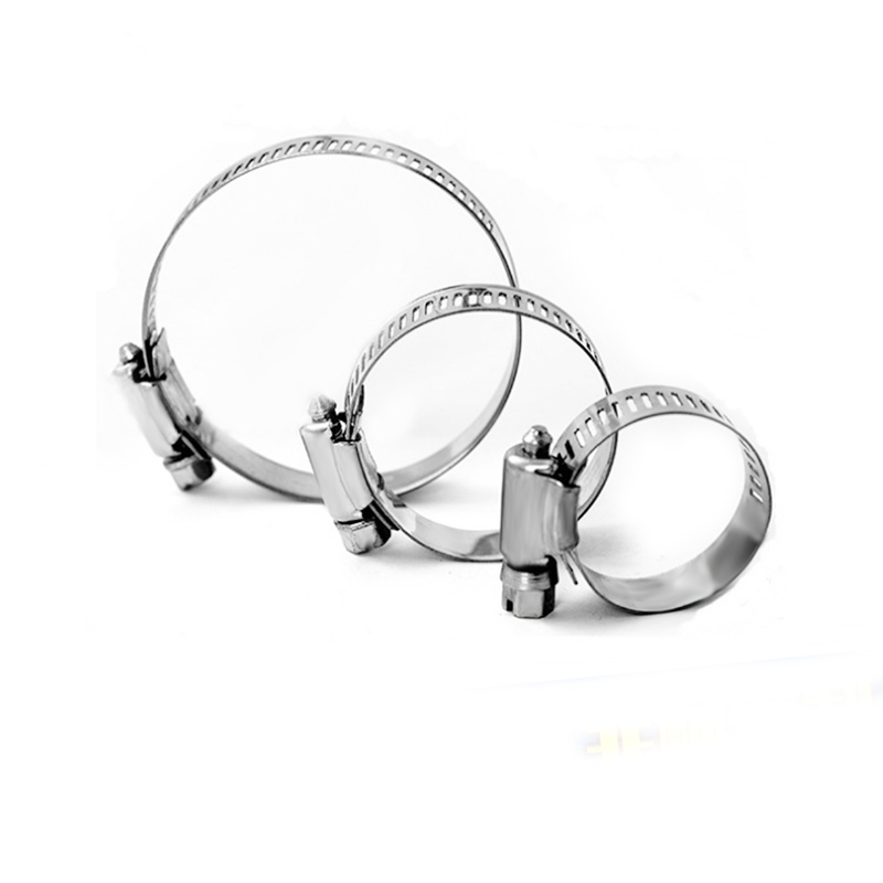 China manufacturer & factory supplier for stainless  in Dasmarinas Philippines  steel hose clamps hoops quick release With high quality best price & service 