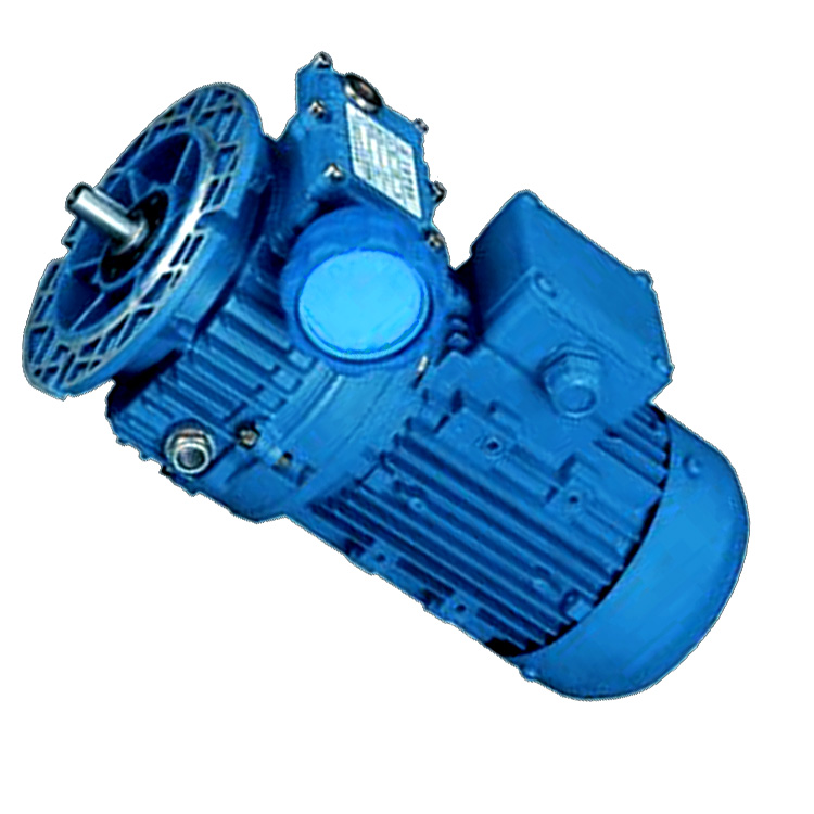 China high quality dual shaft electric motor Best Supplier Manufacturer & gearbox Factory 