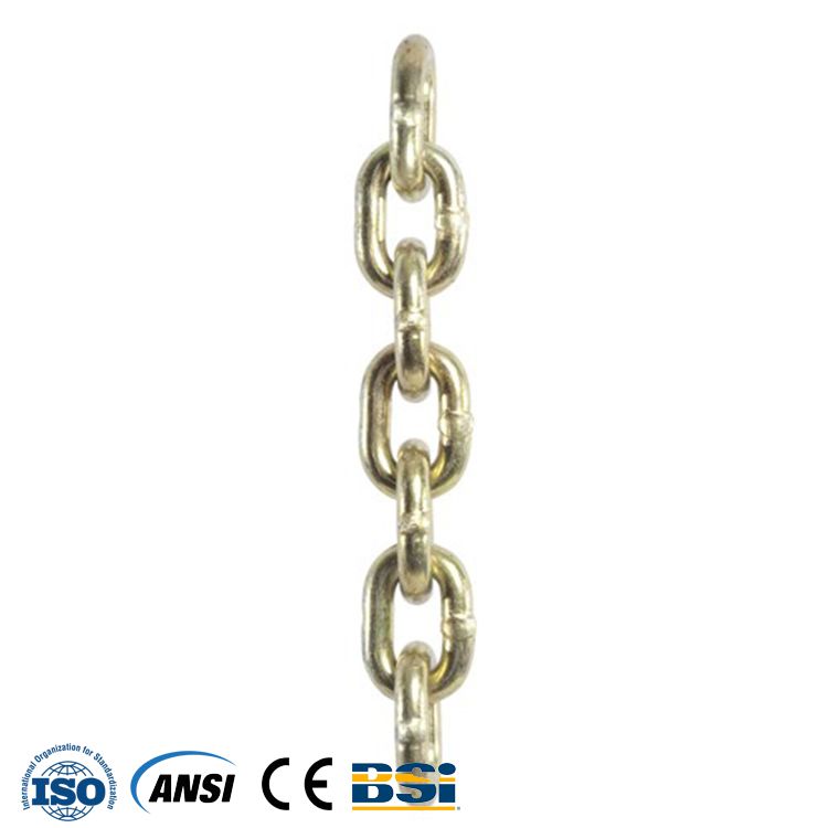 China best quality low sales price for Conveyor Roller Engineering Chain with ISO certified Factory Manufacturer and Supplier -from Pto-shaft.com 