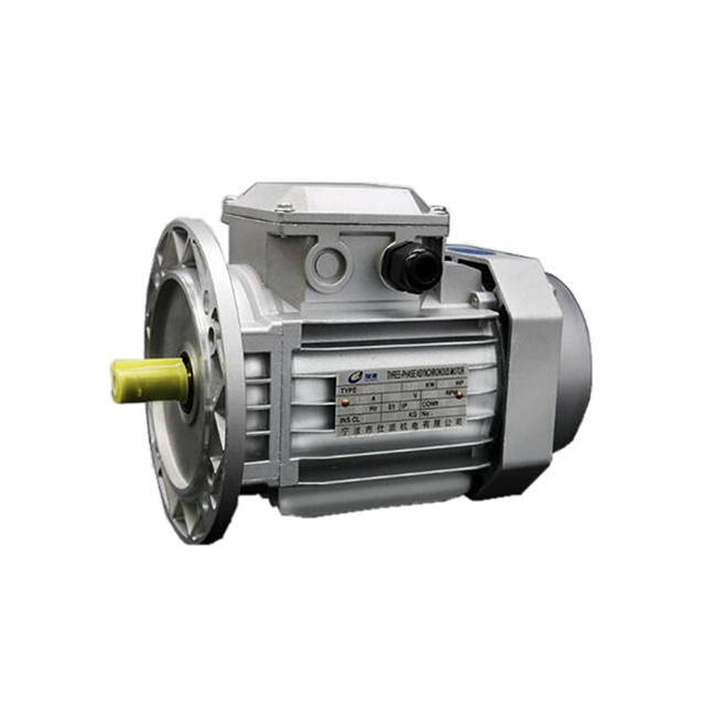 China high quality YS series three-phase asynchronous ac motor customized 110V 220V 380V induction motor Best Supplier Manufacturer & gearbox Factory 