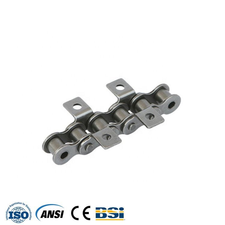 Best China manufacturer & factory 81xh Lumber & Timber Conveyor 81x chain With high quality best price 