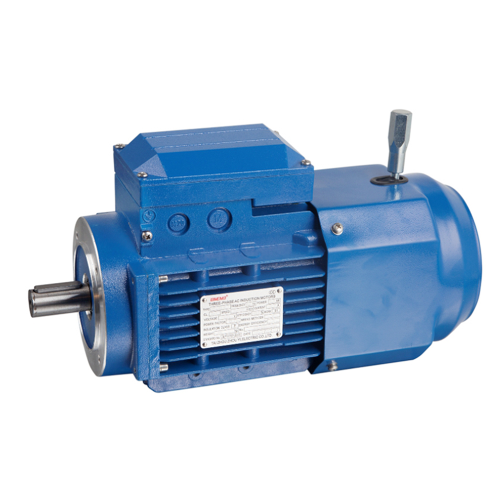 Best China manufacturer & factory china  in Raurkela India  manufacturer  YEJ-132S2-2 high efficiency electric step power motor with brake With high quality best price 