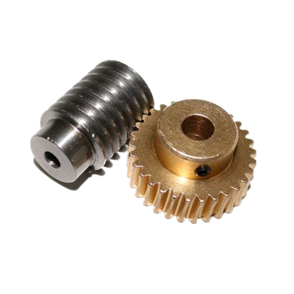 Best China manufacturer & factory Factory processing custom-made iron core, cast iron, copper gear worm for industry equipment With high quality best price 