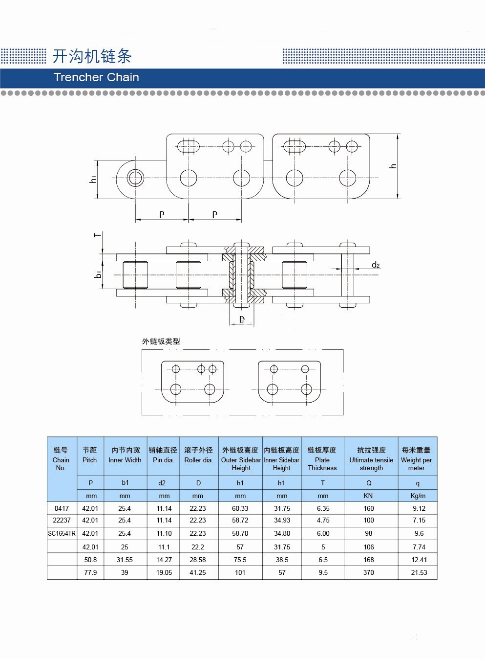 standard palm oil chain with attachment supply with ISO9001:2015