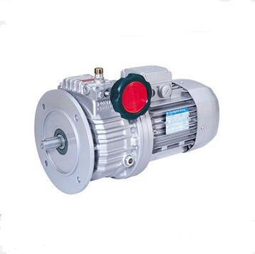 Best China manufacturer & factory Variator With high quality best price 