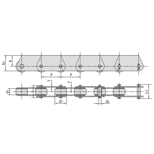 Best China manufacturer & factory Conveyor Chains With Attachments P31.75F1 P63F10 P100F59 P100F285 P101.6F10 P101.6F178 P125F69 P125F71 P152F49 P150F86 P160F2 With high quality best price 