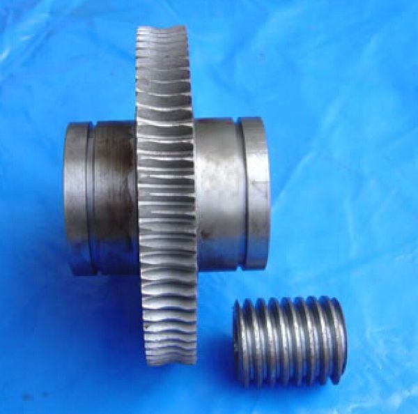 China best quality low sales price for custom metal worm gear Factory Manufacturer and Supplier -from Pto-shaft.com 