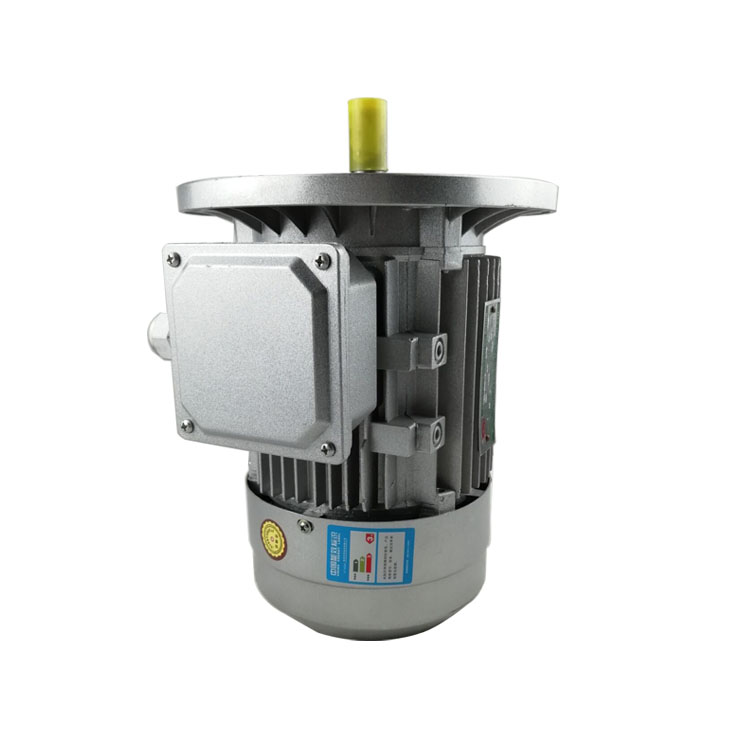 YE2  Lowest price series three-phase AC asynchronous electric motor aluminum cast 100% copper